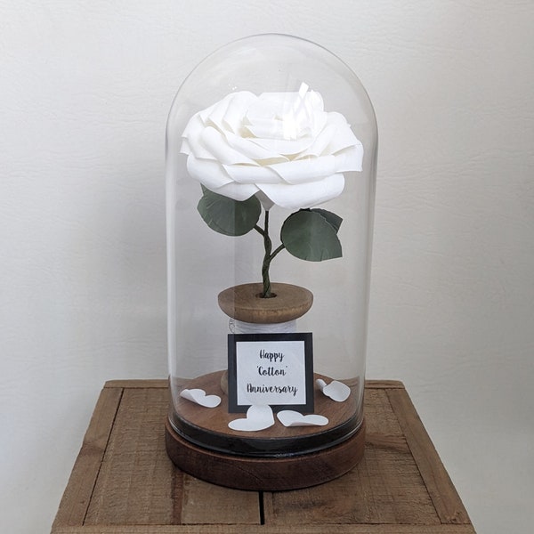 Cotton Anniversary / 2nd Anniversary Rose in a Dome Gift