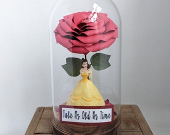 Beauty and The Beast Dome Gift - Paper Anniversary / Birthday / Belle Fan / Wedding Decor/Gift/Ornament