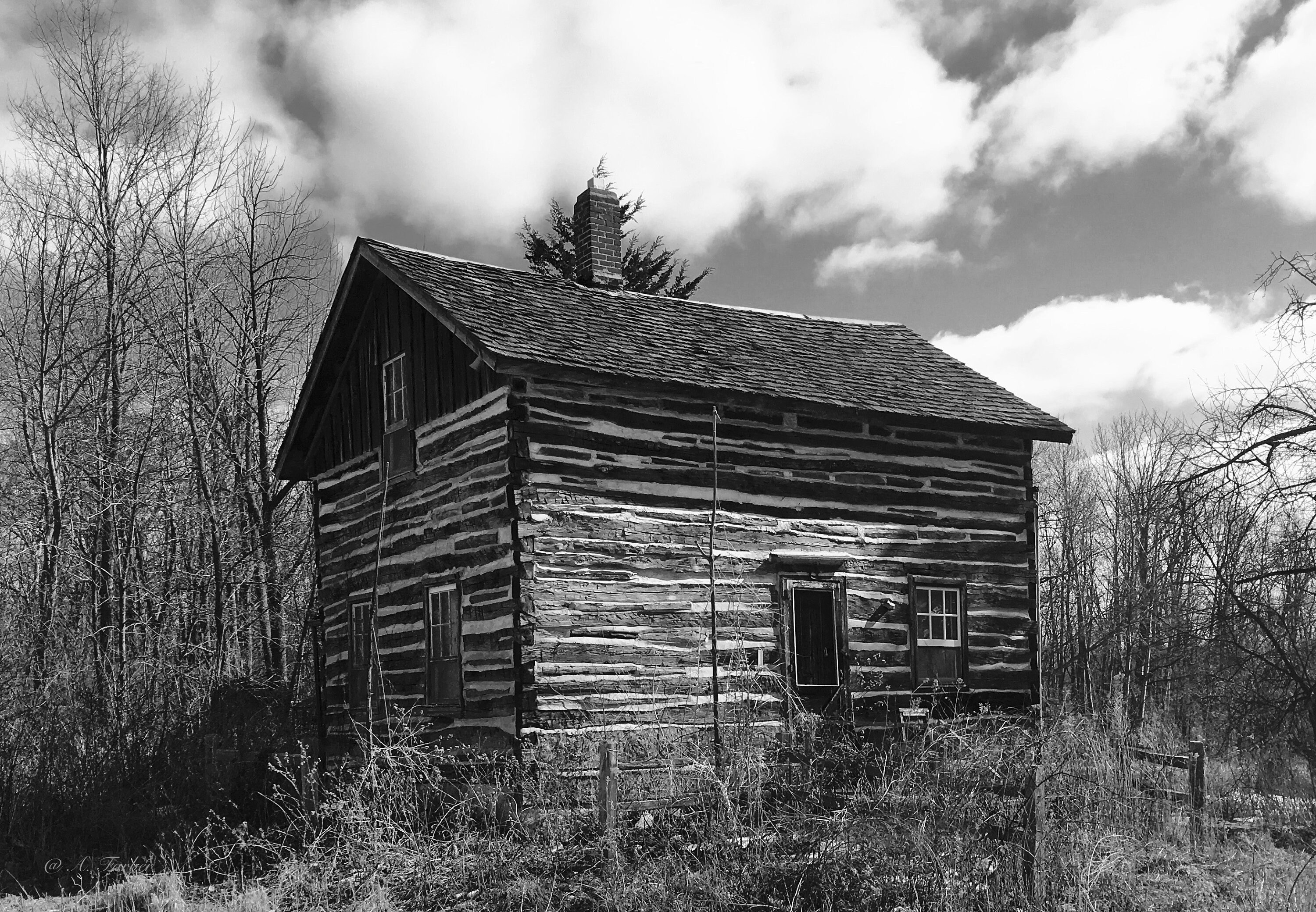 Products Page 2 - Log Cabin Vintage