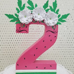 Birthday watermelon number, Watermelon centerpiece, Fuit birthday, Watermelon decor, Picnic birthday, Photo prop, watermelon number