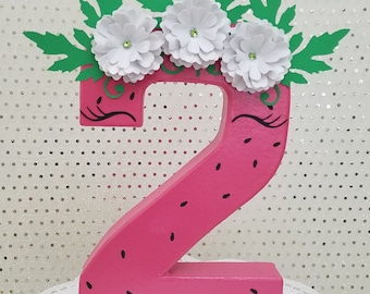 Birthday watermelon number, Watermelon centerpiece, Fuit birthday, Watermelon decor, Picnic birthday, Photo prop, watermelon number