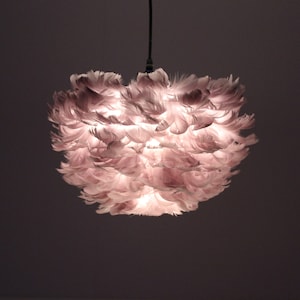 Duzy creative warm and romantic bedroom gray feather pendant lights,110-240V / 50-60Hz