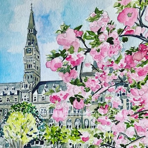 May include: A watercolor painting of a building with a clock tower, surrounded by pink cherry blossoms. The building has a stone facade and a tall, pointed roof. The cherry blossoms are in full bloom and create a beautiful contrast against the blue sky.