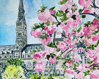 May include: A watercolor painting of a building with a clock tower, surrounded by pink cherry blossoms. The building has a stone facade and a tall, pointed roof. The cherry blossoms are in full bloom and create a beautiful contrast against the blue sky.
