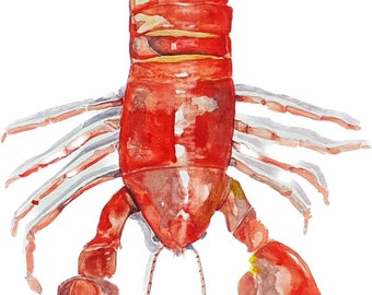 Lobster|Red Lobster |Watercolor Giclee|Looks Real Art |Food Art|Maine Lobster|Boston Artist |