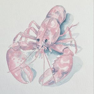 Pink Lobster, watercolor painting Giclee print WallArt pink art gallery wall design nautical art coastal art grandma