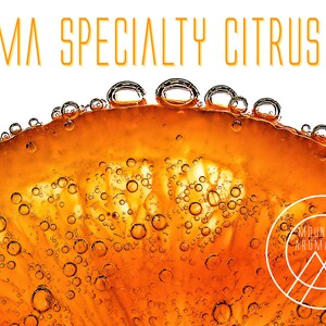 TOP Note Bases for Creating Your Own Fragrance and Perfume at Home ...