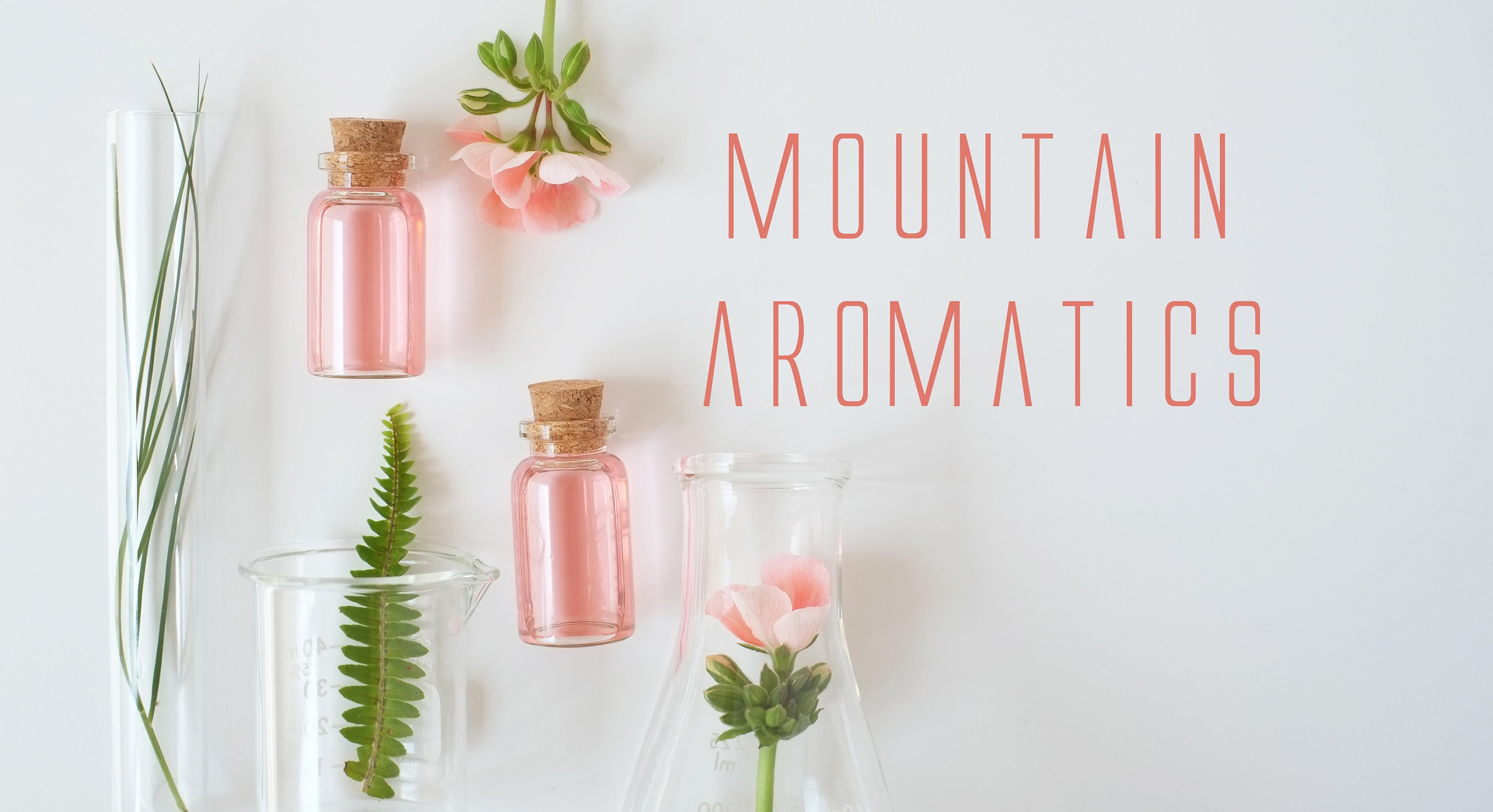 Additional HEART NOTE Bases that are diffusive modifiers and Etsy