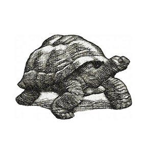 May include: A detailed black and white illustration of a tortoise. The tortoise is depicted in a side profile, showcasing its textured shell, head, and legs. The artwork has a vintage, engraved style, set against a plain white background.