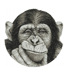 Machine Embroidery  design  Monkey  Digital designs