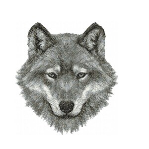 Puede incluir: Un dibujo a lápiz en blanco y negro de la cabeza de un lobo. El lobo está mirando directamente al espectador con una expresión seria.