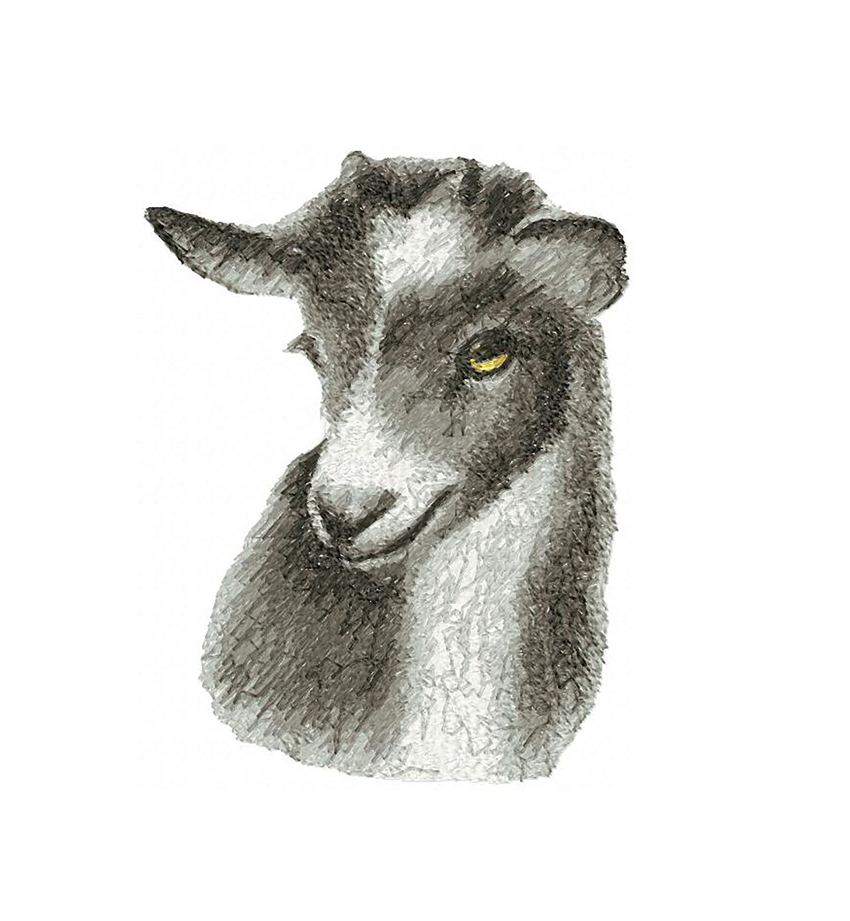 Goat Embroidery Goat Machine Embroidery Goat Embroidery Design Digital