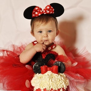 Mouse Costume, Baby Girl Dress First Birthday, Cake Smash Outfit Girl, Birthday Gift For Girl, Tutu Dress For Girl, Photoshoot Outfits