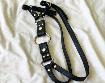 Black Leather Thigh Harness - Hand Harness Package