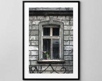 Window No.9501 / Photography / Fine Art Print / Wall Decor / Poster / Vintage