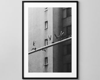 Tauben Bande / Breslau / Urban Fotografie / Fine Art Print / Wand-Dekor