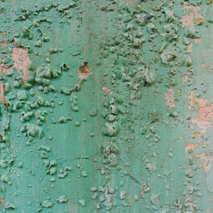 Texture on the wall No.9824/ Urban Tissue / Fine Art Print / Wall Decor / Poster image 1