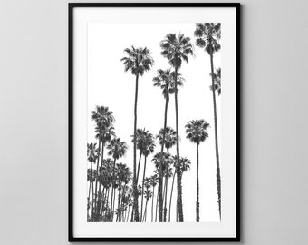 Palma tress / Los Ángeles / California / Blanco / Blanco / Decoración de pared / Póster