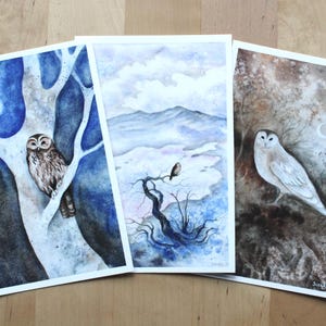 Lot de 3 cartes postales - Hiboux