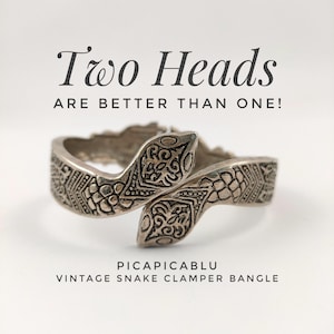 May include: A silver-toned metal clamper bangle featuring two snake heads with intricate scale and scroll patterns. The text Two Heads ARE BETTER THAN ONE! PICAPICABLU VINTAGE SNAKE CLAMPER BANGLE is printed above and below the jewellery piece.