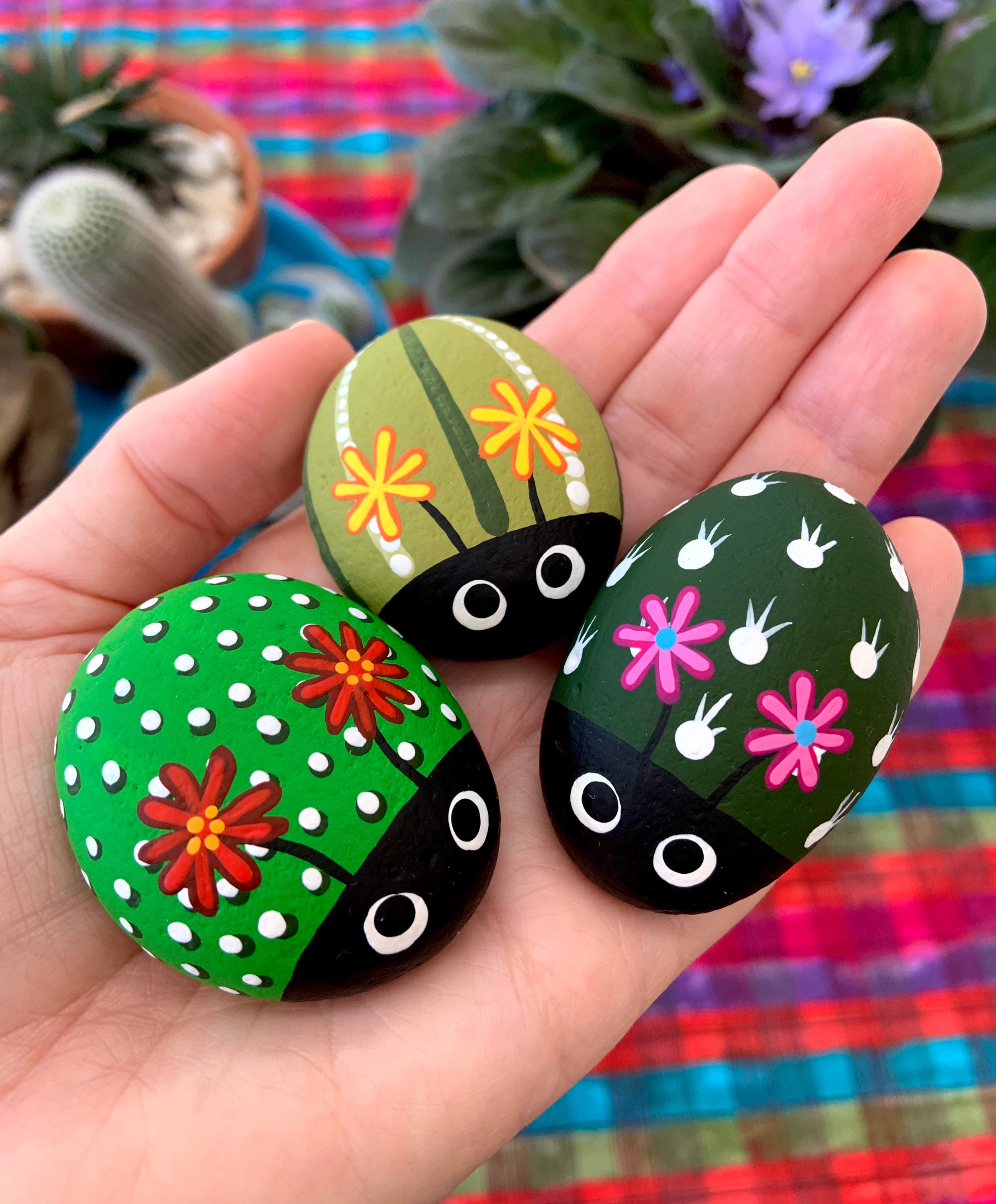 Set of 3 painted cactus rock bugs