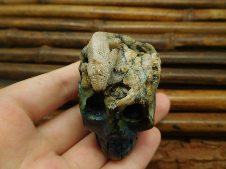 C0450 Chrysocolla Gemstone Natural Skull Decoration