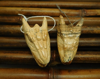 Carved Picture Jasper Dragon Head. Brown Dragon Head. Carve Crystal Pendant. Carve Crystal. Dragon Pendant 43 x 23 x 20 mm (C0871)