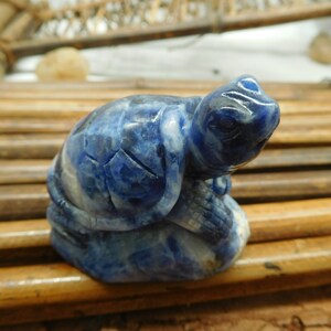 May include: A small blue lapis lazuli turtle sculpture. The turtle is carved in a sitting position with its head raised. The sculpture has a detailed, textured surface.