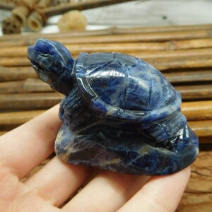 May include: A blue lapis lazuli turtle sculpture. The turtle is carved in a realistic style and has a detailed shell.