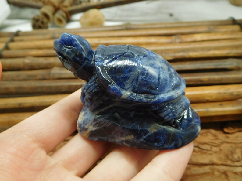 May include: A blue lapis lazuli turtle sculpture. The turtle is carved in a realistic style and has a detailed shell.