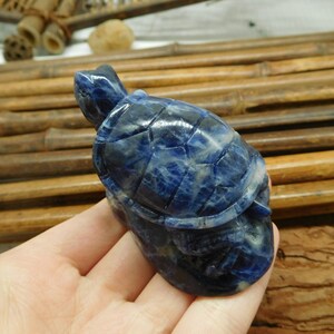 May include: A small blue and white carved turtle figurine made of sodalite.