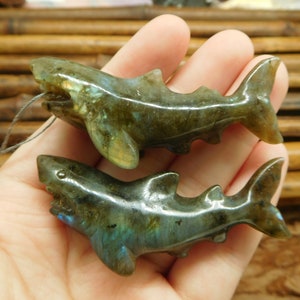 Gemstone shark. carved shark pendant. labradorite carved shark pendant. stone carve shark jewelry. shark craft. labradorite craft (B5053)