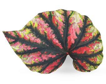 Begonia Leaf Decorative Pillow - Handmade Realistic Printed 3D Soft Begonia Plant Leaf Pillow