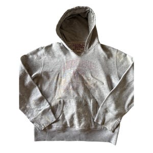 May include: A heather gray hoodie with a drawstring hood and a kangaroo pocket. The front of the sweatshirt features a faded graphic and the text "ABORE DOMINE". The garment shows signs of wear and tear.
