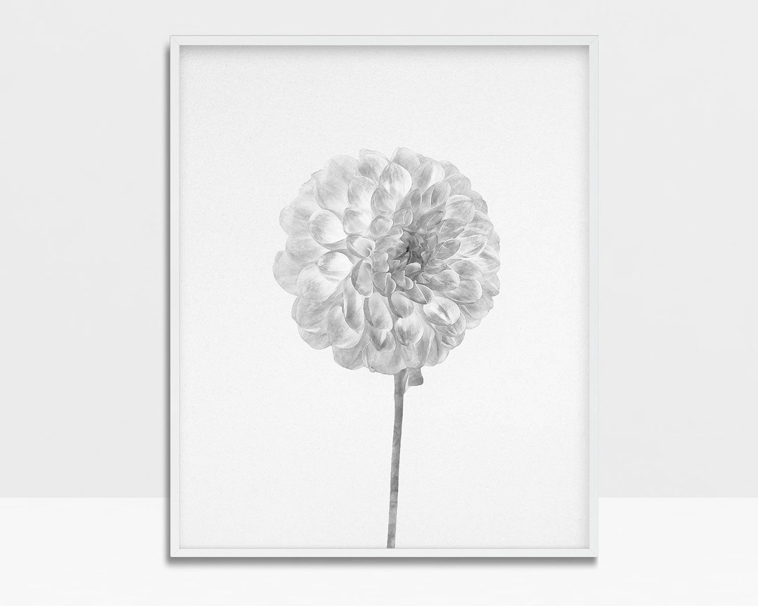 Botanical Watercolor Dahlia Print, Black and White Wall Decor, Nature