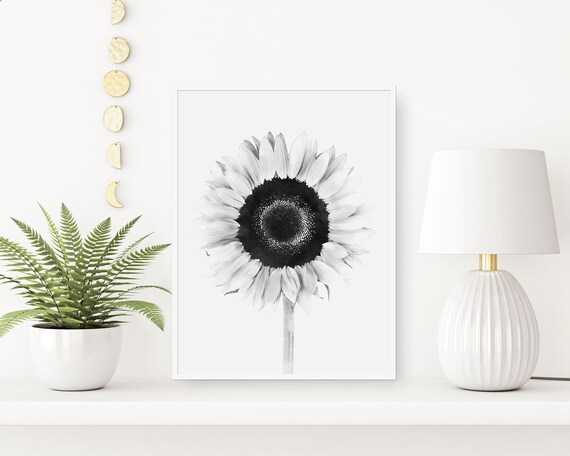 Sunflower Wall Decor Print Bedroom Black And White Watercolor Painting Sunflower Bedroom Watercolor Art Sunflower Room Decoration