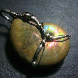 May include: A silver pendant featuring a fossilized ammonite with iridescent colors, set in a silver wire frame.