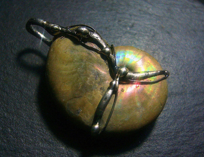 May include: A silver pendant featuring a fossilized ammonite with iridescent colors, set in a silver wire frame.