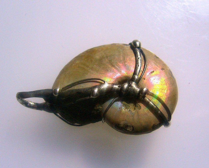 May include: A silver wire wrapped around a iridescent ammonite fossil pendant. The fossil is a light brown color with hints of pink and green.