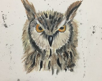 Owl