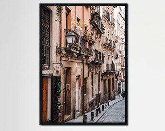 Planters, Spanish Architecture, Madrid Photography, Madrid Spain, Street Photography, Europe, Madrid Prints, Travel Prints, Wall Art