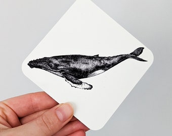 Whale Illustration Coaster