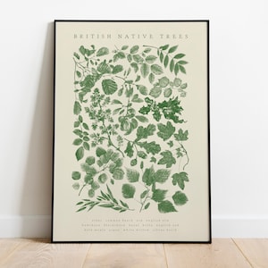 British Native Trees A3 Art Print - Botanical Illustration