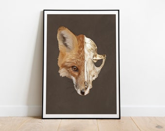 Fox Skull Illustration Print