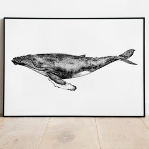 Whale Art Print - Dotwork Humpback Whale Illustration