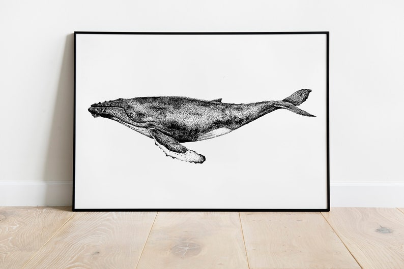 Whale Art Print Dotwork Humpback Whale Illustration image 1