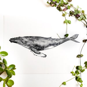 Whale Art Print Dotwork Humpback Whale Illustration image 3