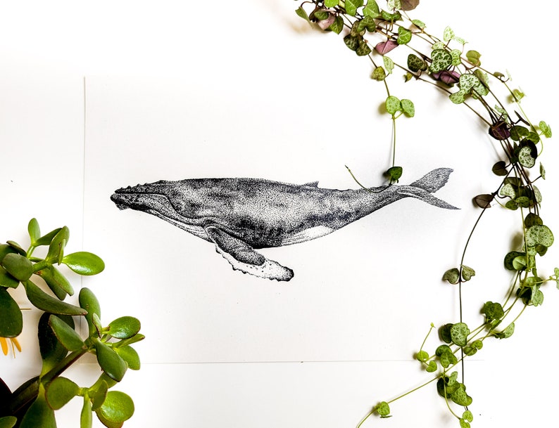 Whale Art Print Dotwork Humpback Whale Illustration image 3