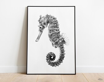 Seahorse Dotwork Illustration Print