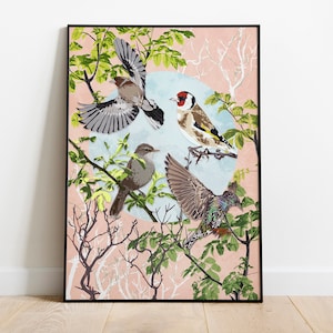 Garden Bird Illustration Print